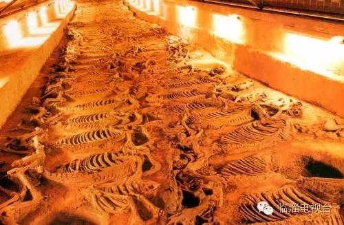 约起来到此一游,约起来一起去旅行