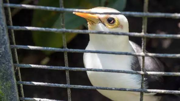 朋友圈发海边泳衣照好不好,朋友圈晒沙滩泳装