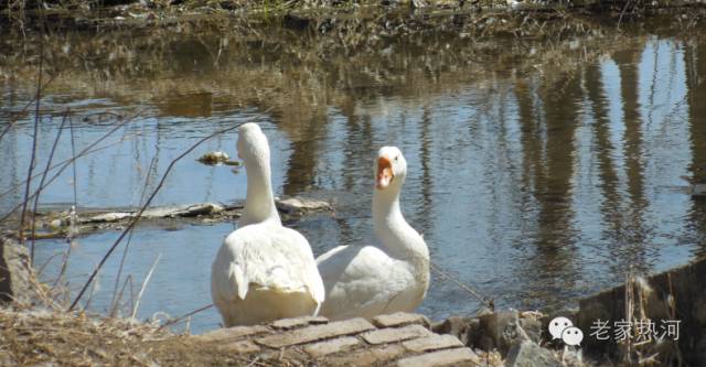 鞍匠黑沟门，美的不成样子