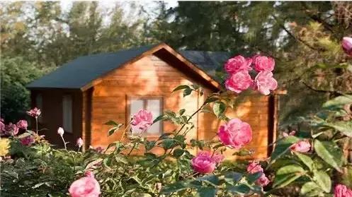 福建海边旅游推荐民宿,福建小木屋