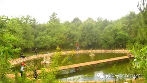 昆明大板桥农家乐的好去处,昆明农家乐烧烤游玩