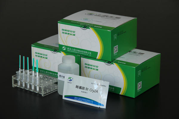 转基因玉米鉴定技巧,玉米转基因鉴定标准有哪些