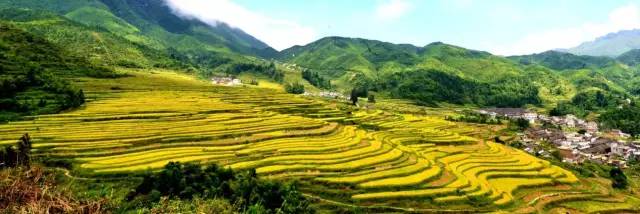 涓嶈兘澶栧嚭娓哥帺瀹呭湪瀹堕噷,涓嶈兘澶栧嚭鏃呰鍦ㄥ涔熷緢蹇箰