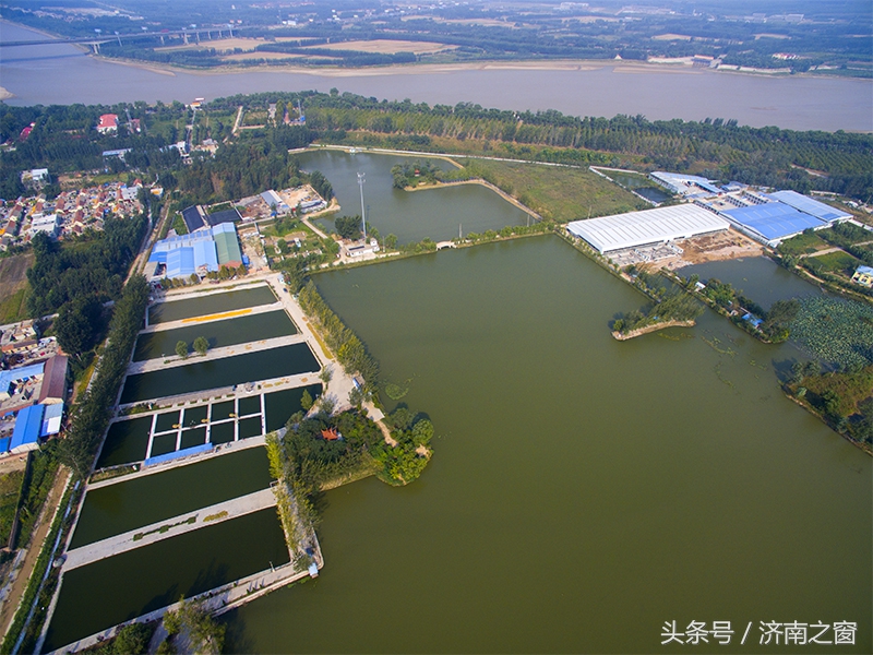 济南美里湖湿地,飞越济南