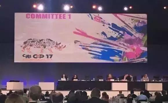 濒危黄檀属,2013年濒危黄檀属