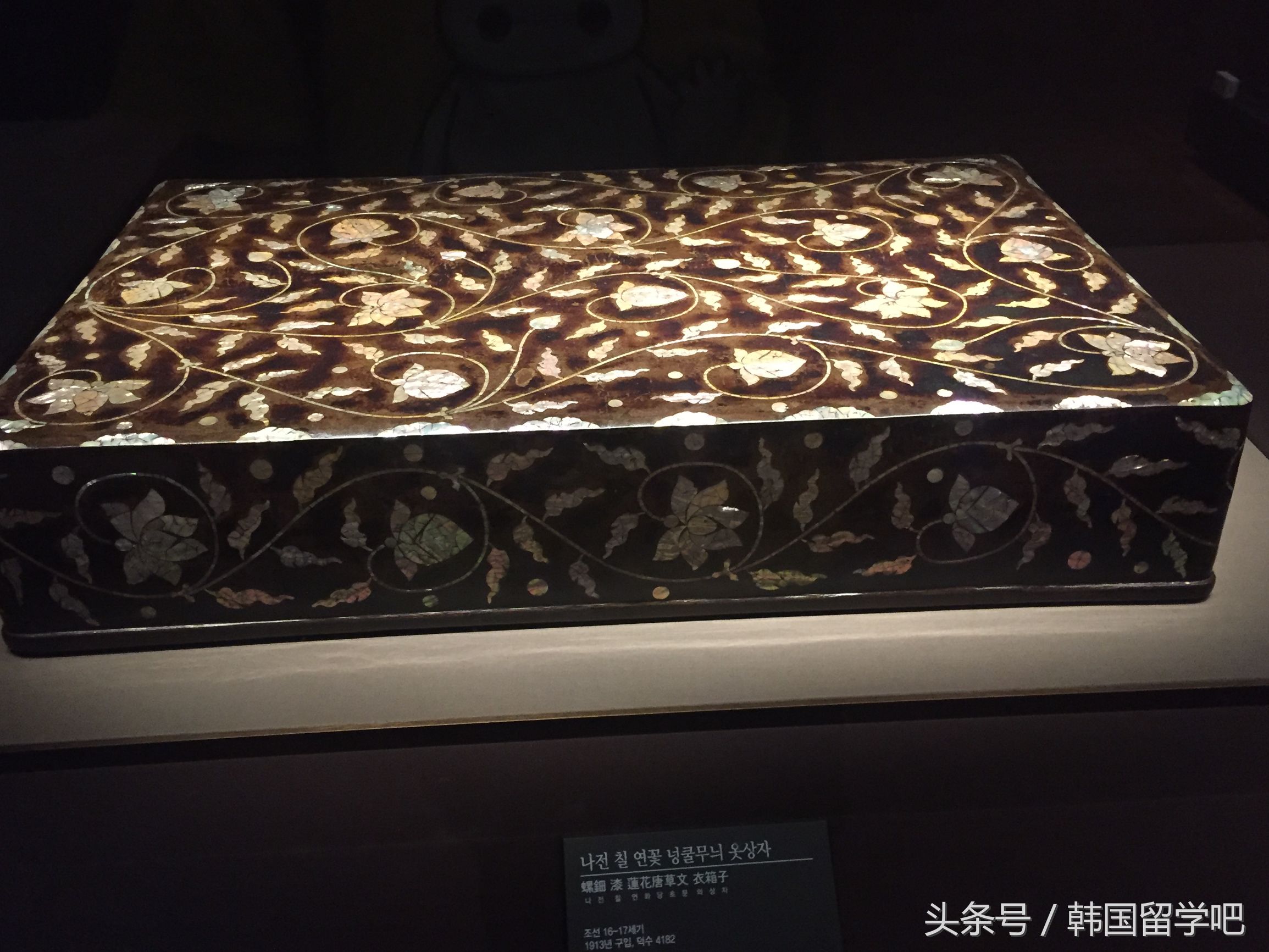 老教授带学生去山洞找文物,韩国教授来到中国博物馆