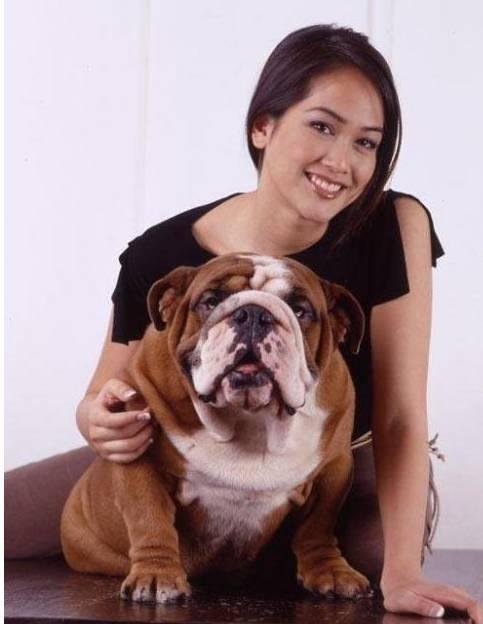 狗萌宠有哪些品种,18种萌宠狗狗