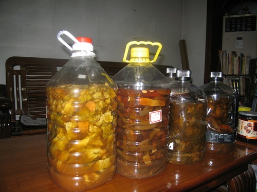 水果酵素效果真有这么灵吗,水果酵素真的有那么神奇吗