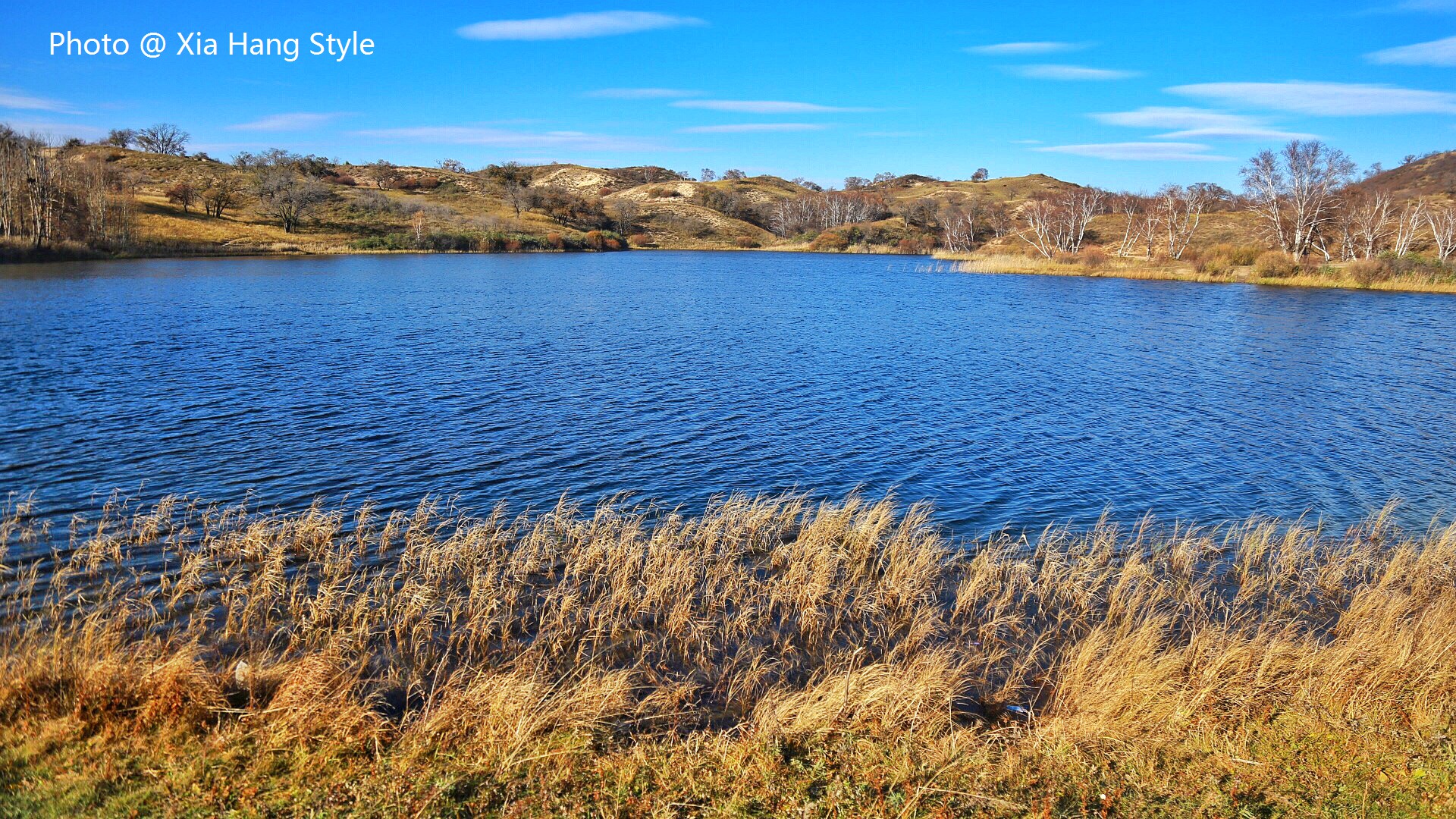 唐古拉山的凄美爱情故事,一段凄美的蒙古爱情故事