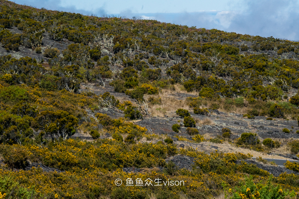 揭秘金银岛宝藏之谜,金银岛神秘之谜