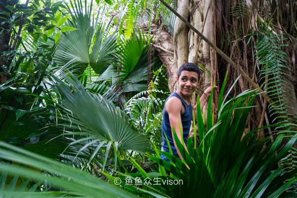 揭秘金银岛宝藏之谜,金银岛神秘之谜