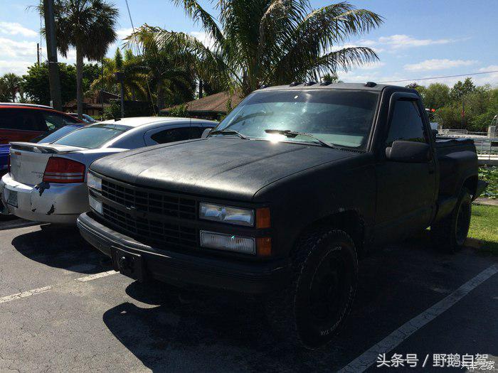 野鹅旅行,野鹅自驾无人区