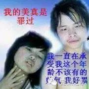 豚鼠各类饲养装备优缺点汇总之上篇