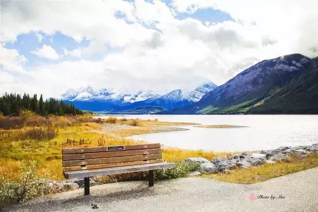 你们都错了，其实加拿大的秋季才是最厉害的时装大师