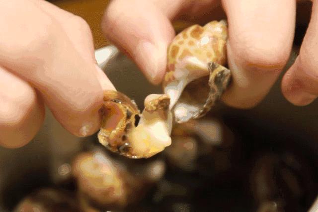 据说在福田这个Mall里面,一家店只接待一种人!