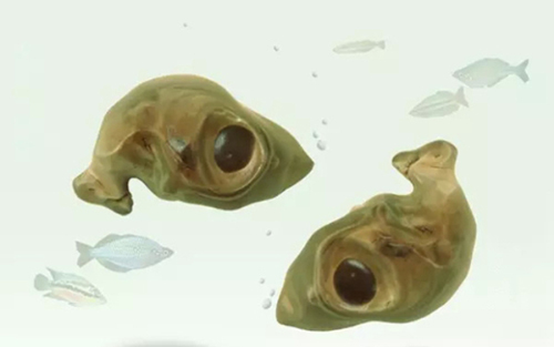 小石头和国宝,小石头国宝