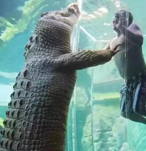 世上最危险的旅行禁区,十大最危险旅行