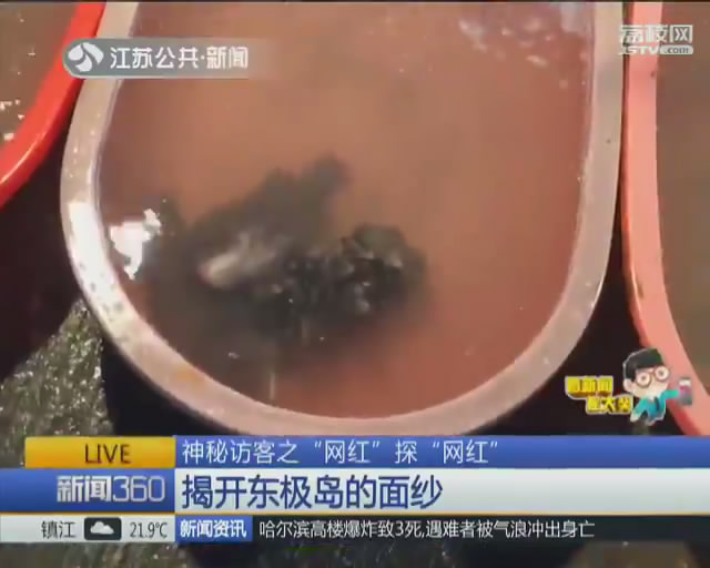 东极岛探索屏障,东极岛危险吗