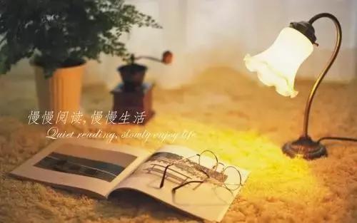 新西兰对动物都很友好吗,新西兰对待动物