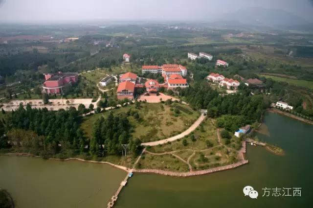 虽无黄金，遍地是金——寻访江西金溪县