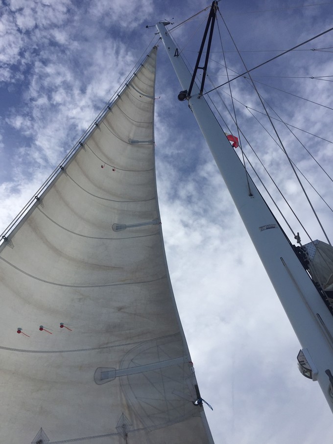 菲律宾潜水游记 (回忆菲律宾潜水的时光)