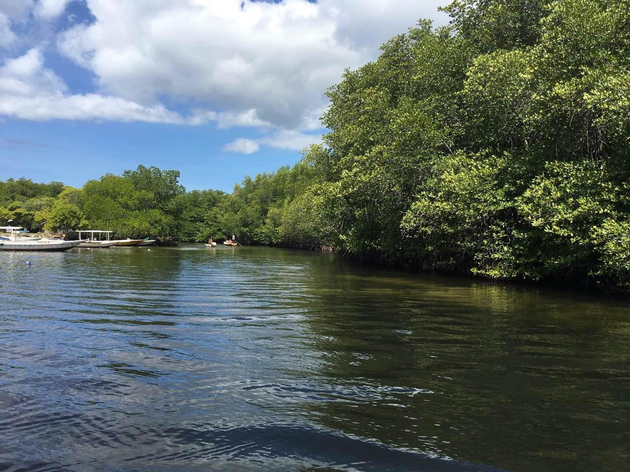 bali巴厘岛旅行记,巴厘岛baliswing
