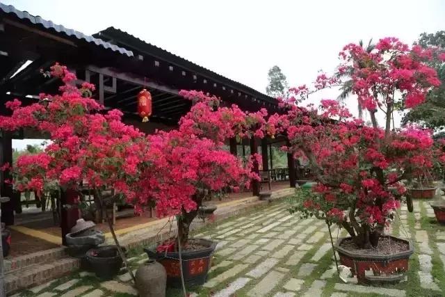 海南万宁国庆旅游攻略,万宁十大旅游必买品