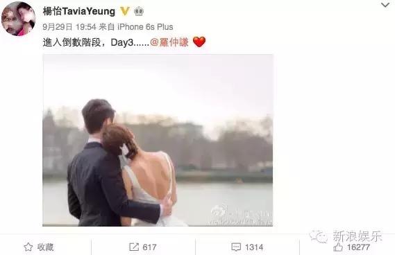 马浚伟杨怡金猪,杨怡金猪