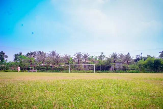 〈花开园〉顺德一间靓到“氹”一声的花园食府，赏花喂牛亲子