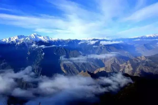 奇葩牧场|不养牛不养羊,居然养这个?