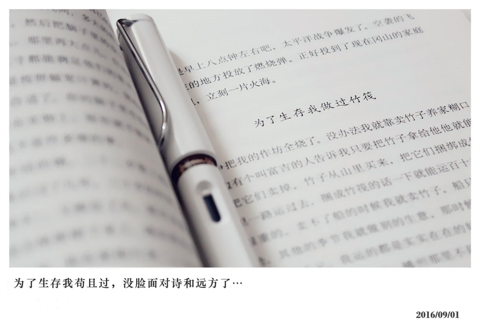 lamy狩猎全黑,lamy50周年天阶系列冰川蓝