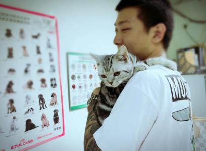 猫咪不出门每年需要打疫苗吗,不知道猫咪打没打过疫苗怎么办