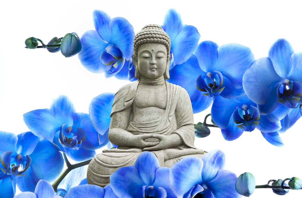 你是人生的最美，我愿意接受每一个足迹