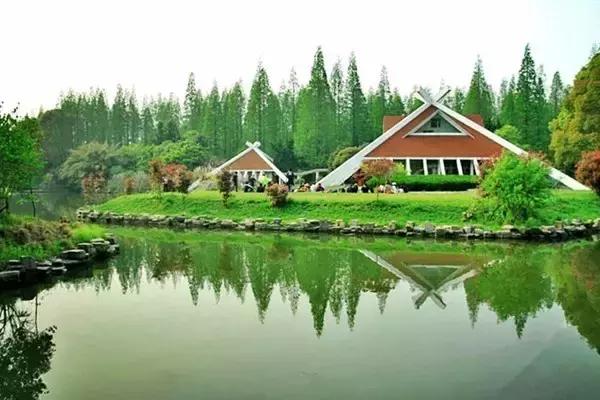 魔都旅游巴士,魔都游玩路线图