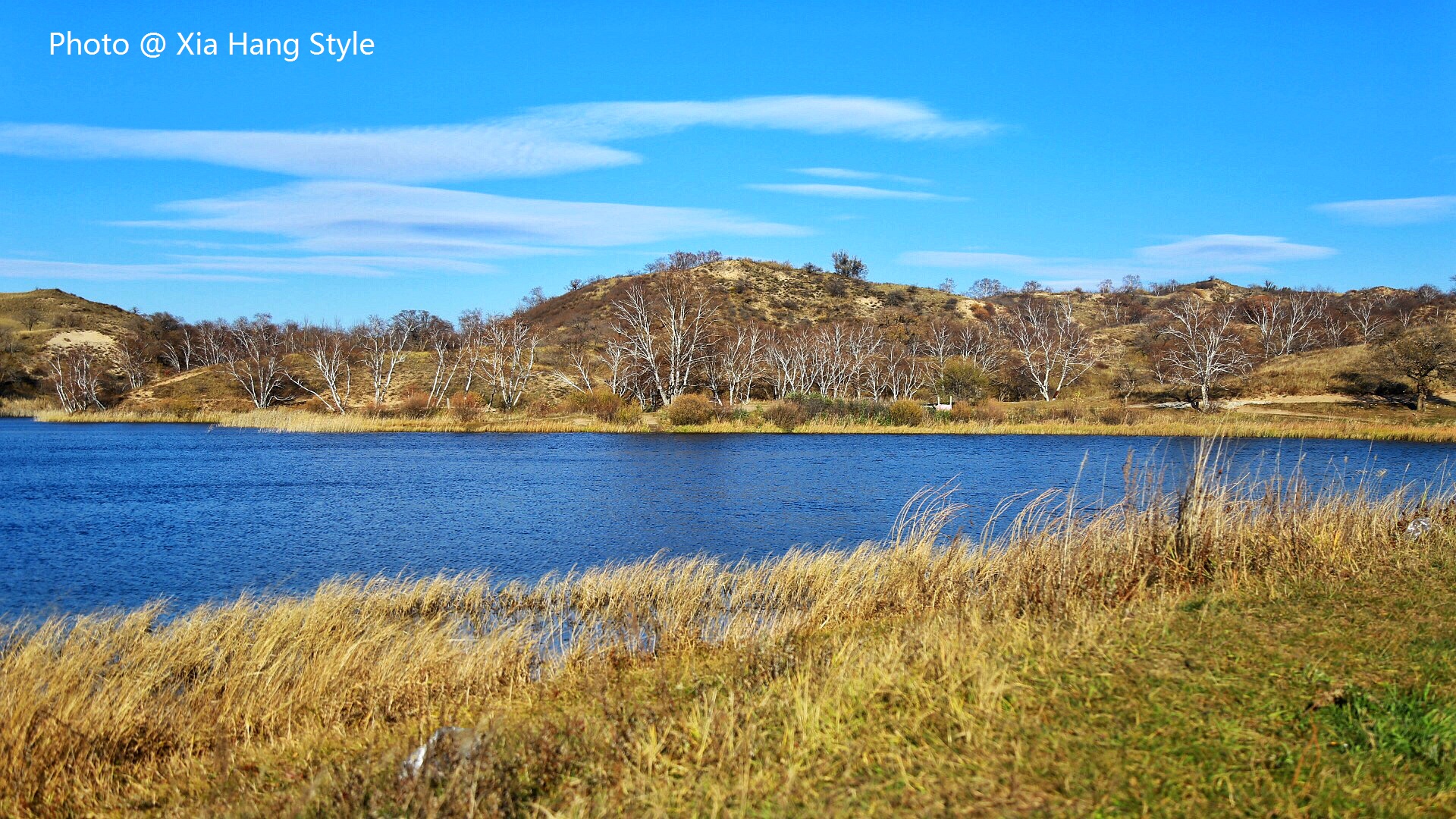 唐古拉山的凄美爱情故事,一段凄美的蒙古爱情故事