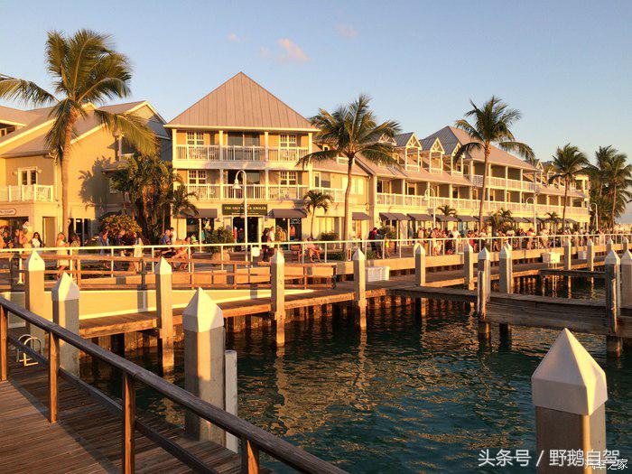 野鹅旅行,野鹅自驾无人区