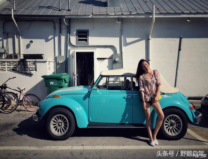 野鹅旅行,野鹅自驾无人区