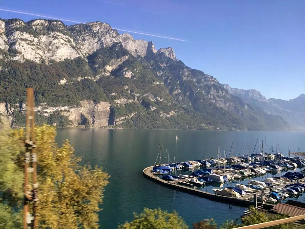 蓝瘦香菇在这里视频,蓝瘦香菇在法国