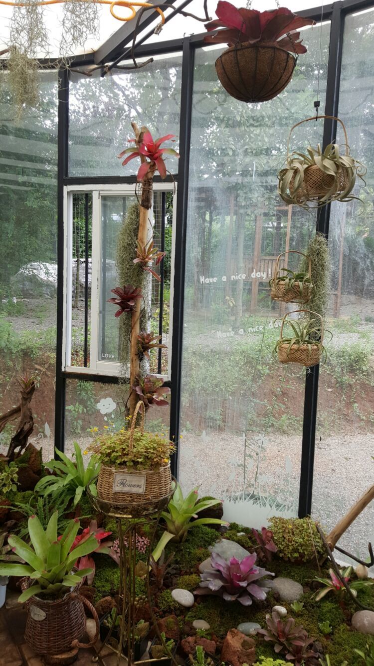 向阳的玻璃花房,玻璃花房设计建造