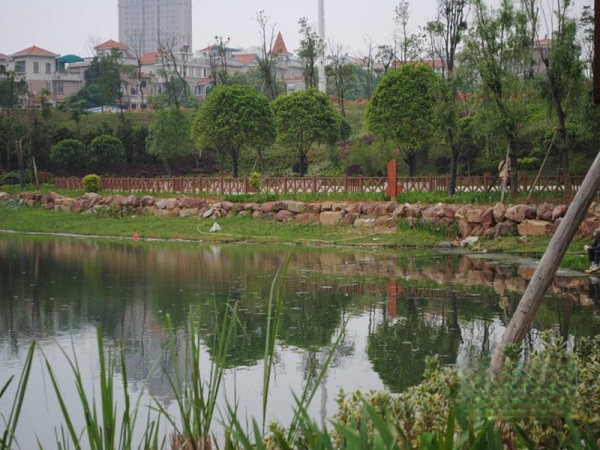 岳麓万科金域滨江,长沙市岳麓区万科里金域滨江