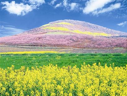 湖北荆门城市建设规划,荆门城市规划与发展方向
