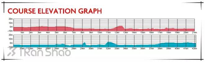 大阪半程马拉松,大阪马拉松赛况