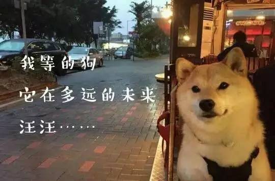 朋友圈分享歌曲是什么心理,往朋友圈分享歌曲的都是什么心态