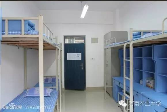 特别策划三分钟过后，农大小石榴马上开挂成老鸟！