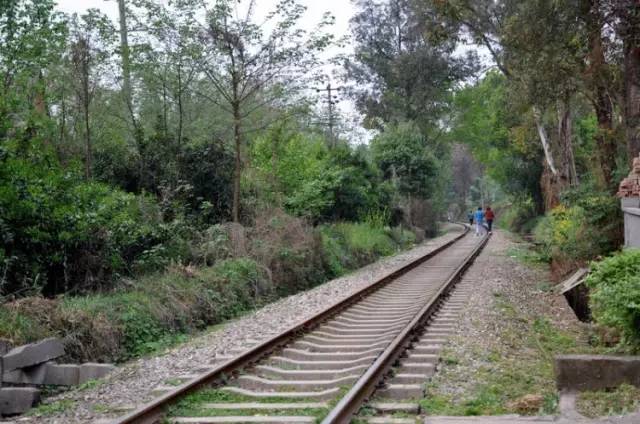 成都主题乐园推荐,成都新增的主题乐园