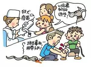 宝宝被动物咬怎么办,宝宝被宠物咬伤时的紧急处理方法
