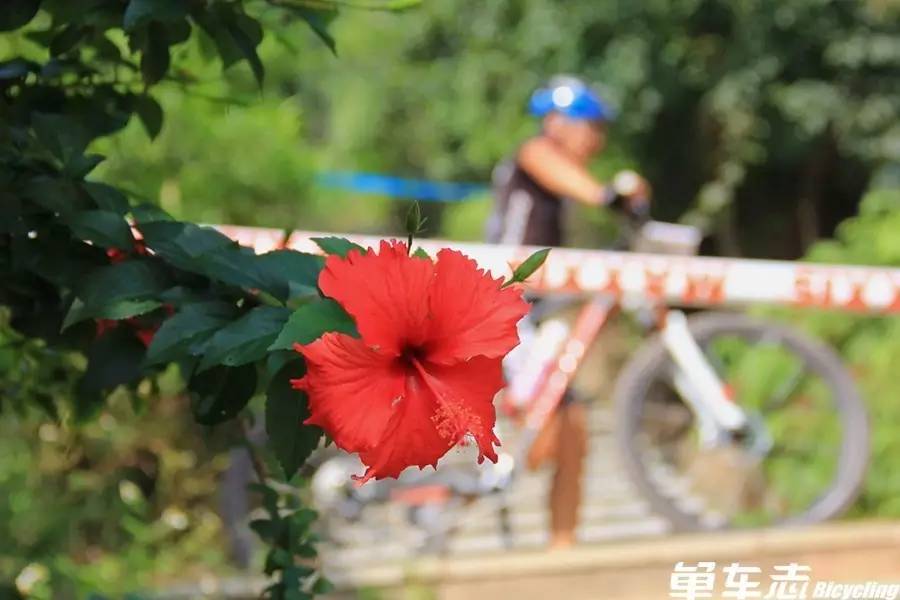 玛吉斯越野自行车,玛吉斯比赛视频