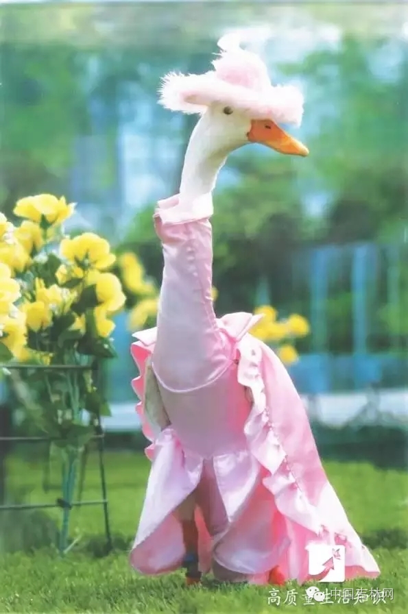 长春热企提前开栓供暖,长春市提前开栓供热通知