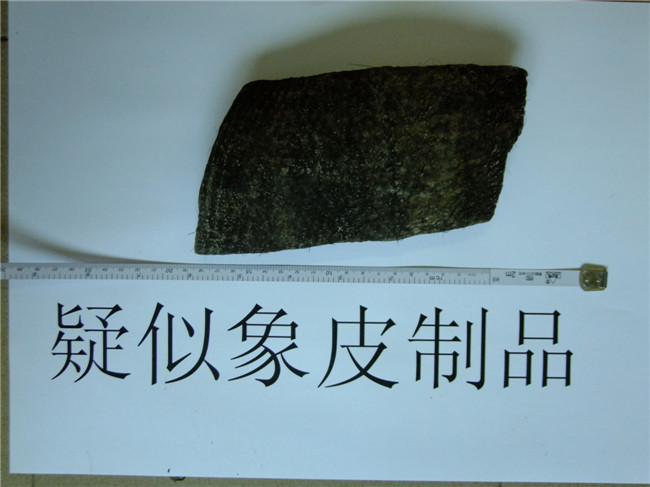 非法收购象皮珍藏三年后拿来贩卖 赚了300元差价换来取保候审