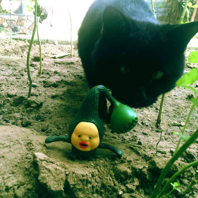 挑战你们的审美,挑战你的审美